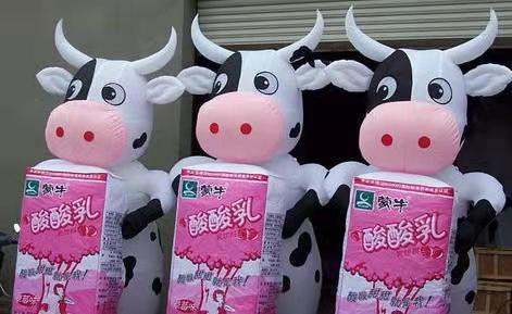 海兴牛奶包装广告气模